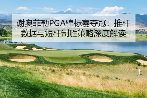 xie-ao-fei-lei-jin-biao-sai-duo-guan-tui-gan-shu-ju-yu-duan-gan-zhi-sheng-ce-lve-shen-du-jie-du-3-694.jpg